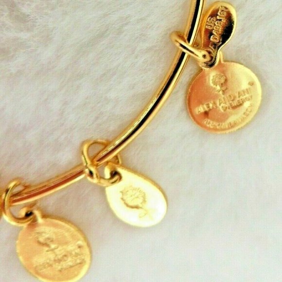 Disney Alex and Ani Lion King Hakuna Matata Bangle - Picture 8 of 10